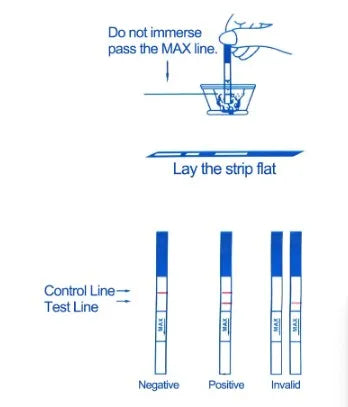 20PCS Early Pregnancy Test Strips Over 99% Accuracy HCG Testing Kits
