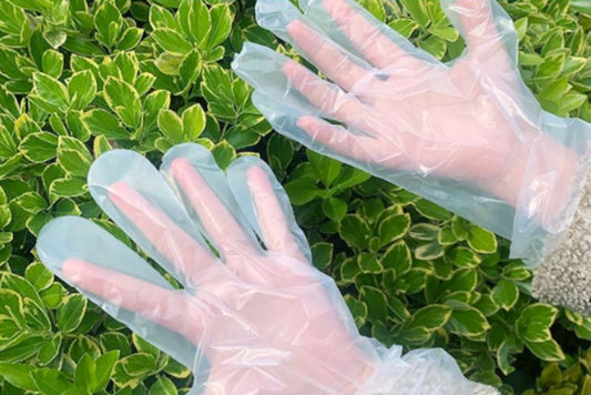 100/300/500/1000 PCS Plastic Clear Disposable Gloves - One Size - USA Medical Supply